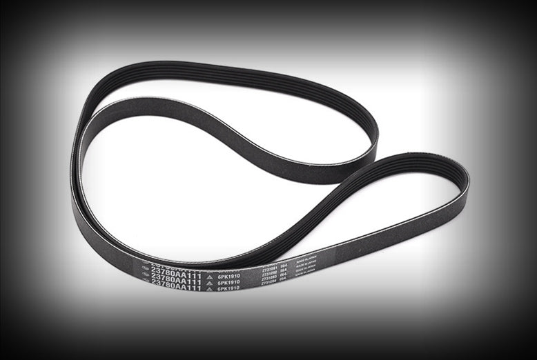 Serpentine Belt